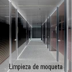 Limpieza de moqueta